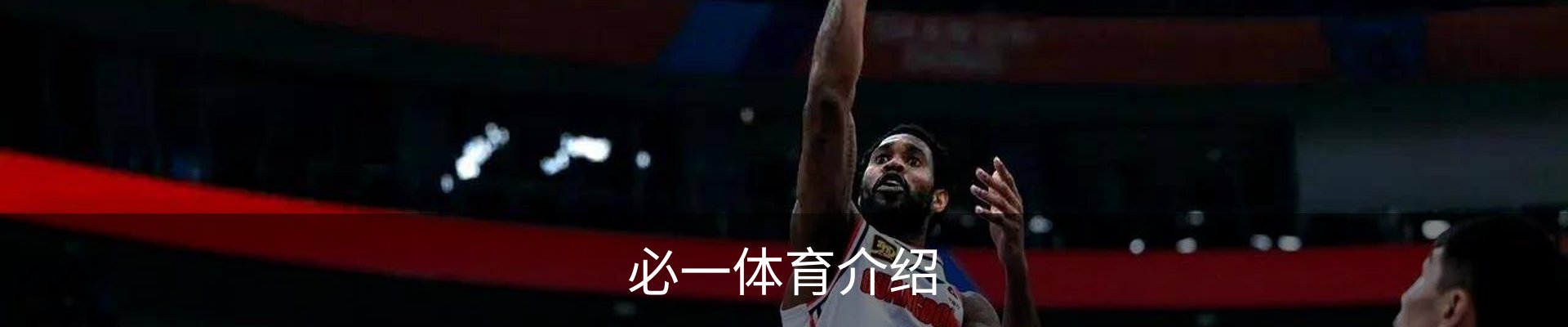 必一体育介绍